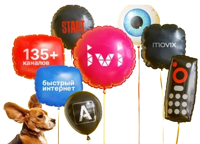 Услуги Дом.ру в поселок Сухой Ручей